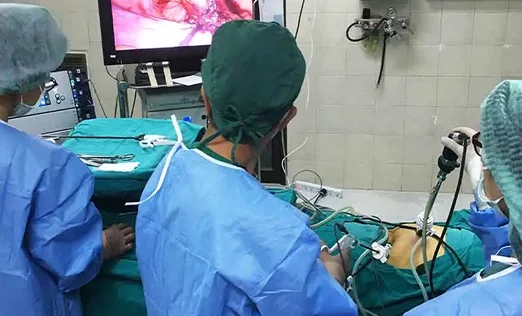 Laparoscopic Assisted Vaginal Hysterectomy
